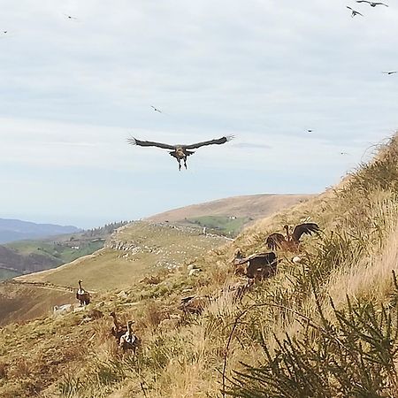 La Pasiega San Roque de Ríomiera 외부 사진