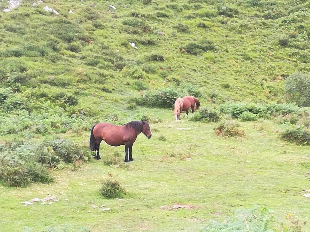 La Pasiega San Roque de Ríomiera 외부 사진
